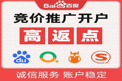 行业领先的SEM竞价广告投放案例